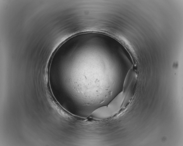 X0000096170892200802011316