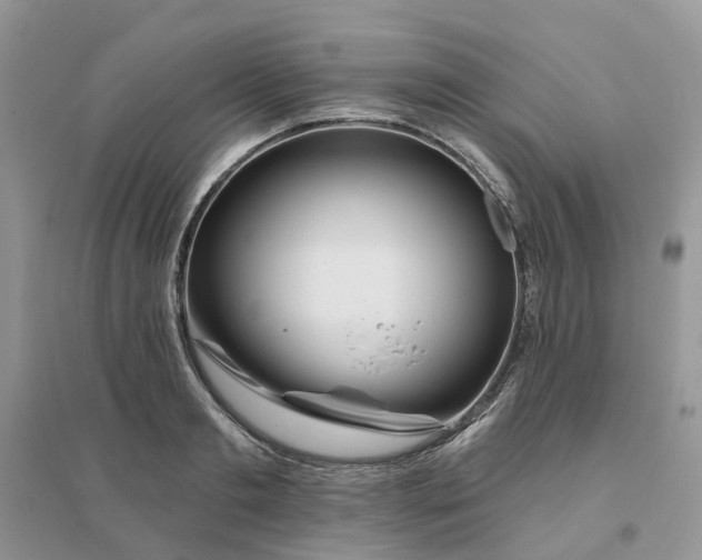 X0000096170893200802011316