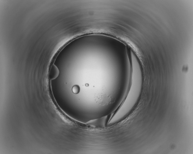 X0000096170894200802011316