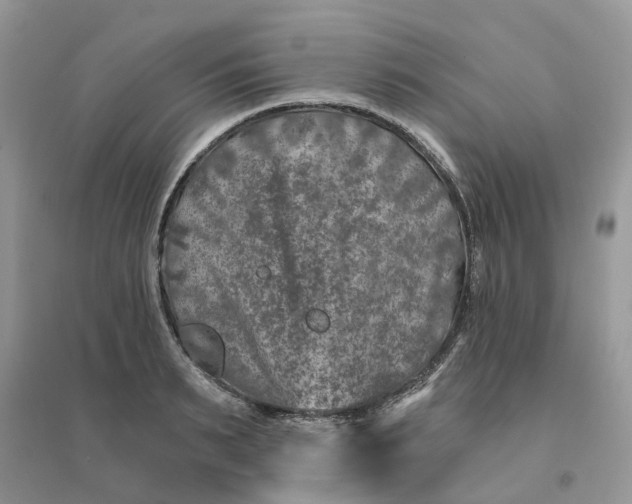 X0000096170895200802011316