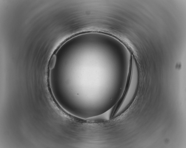 X0000096170896200802011316