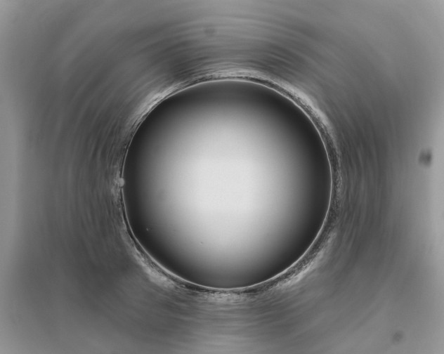 X0000096170897200802011316