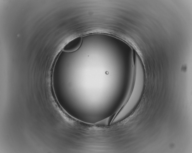 X0000096170898200802011316