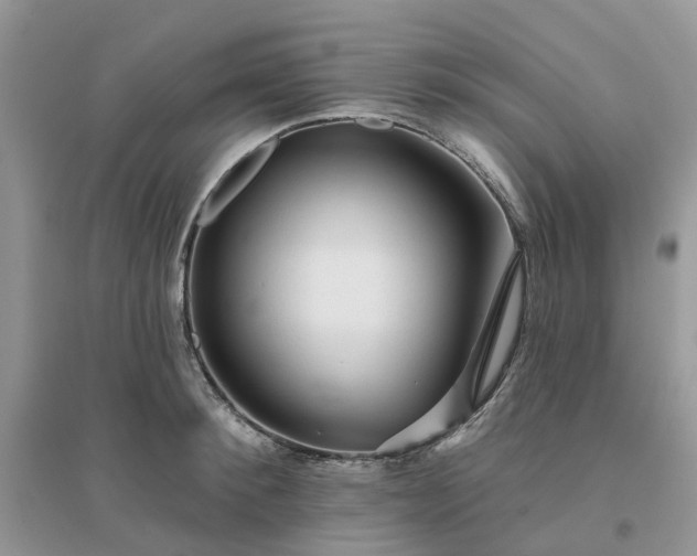 X0000096170900200802011316