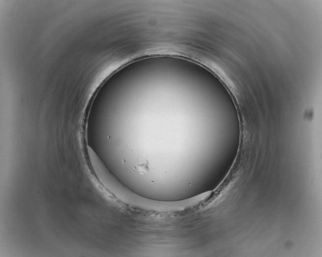 X0000096170901200802011316