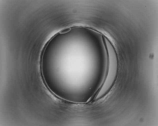 X0000096170902200802011316