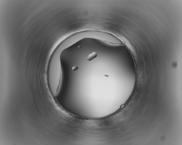 X0000096170904200802011316