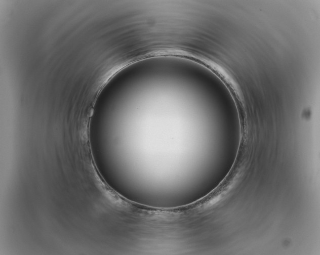 X0000096170905200802011316