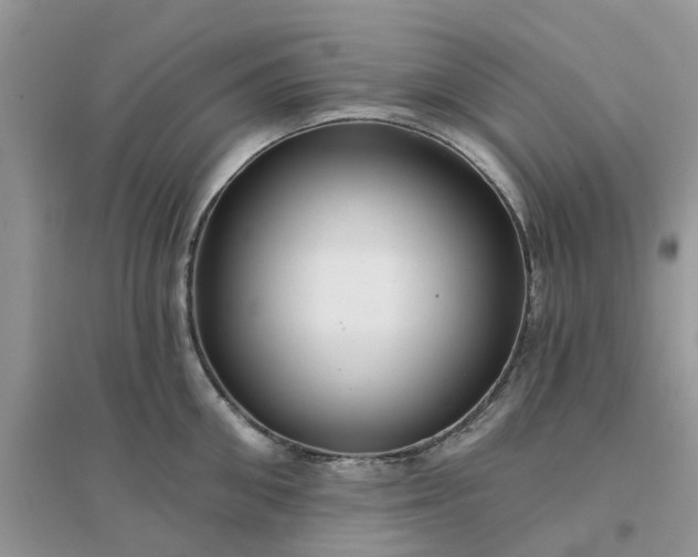 X0000096170906200802011316