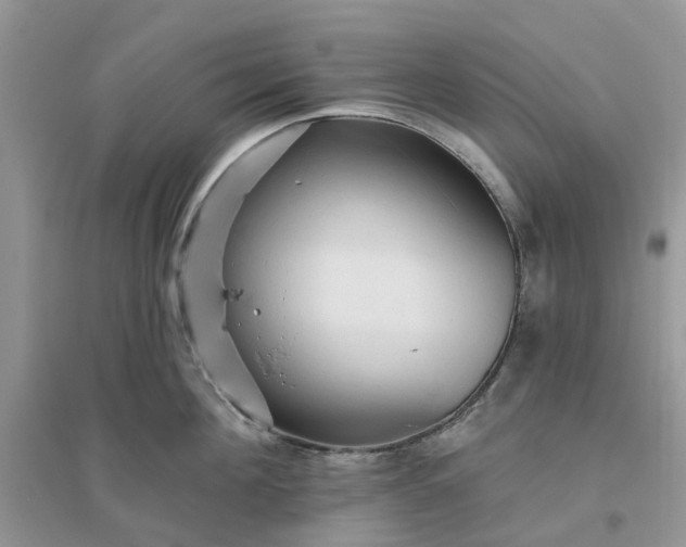 X0000096170908200802011316