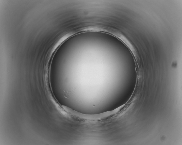 X0000096170909200802011316