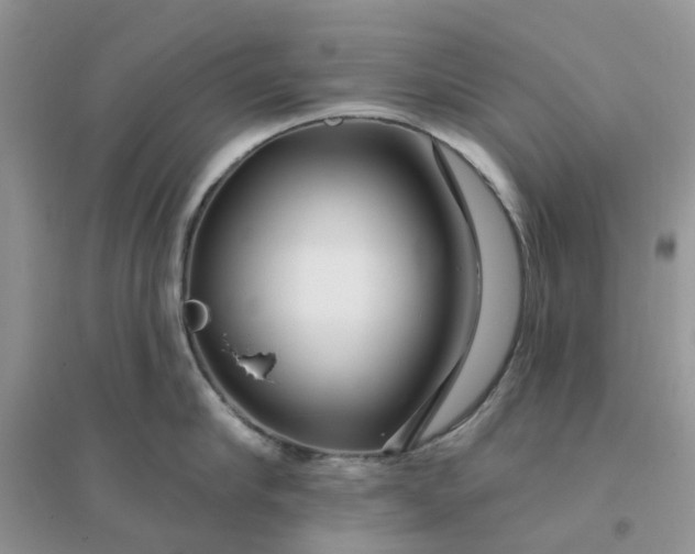 X0000096170910200802011316