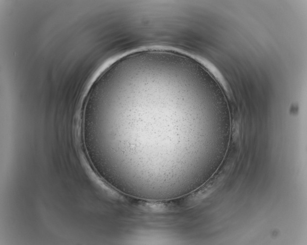 X0000096170911200802011316