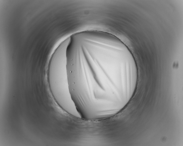 X0000096170912200802011315