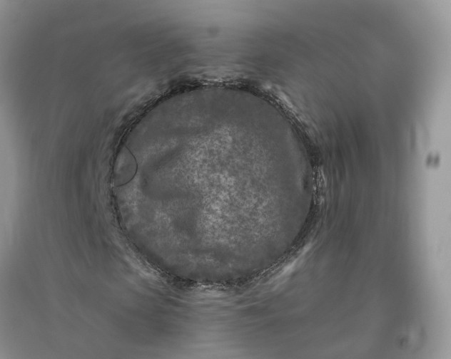 X0000096170913200802011315