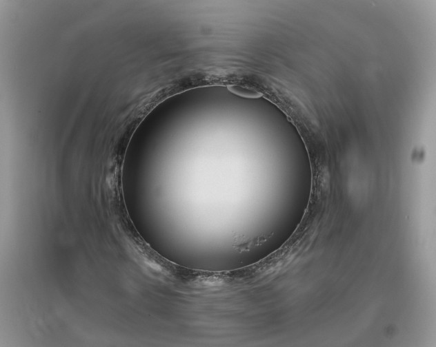 X0000096170914200802011315