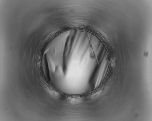 X0000096170915200802011315