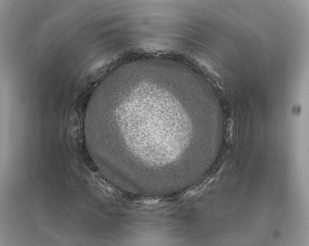 X0000096170917200802011315