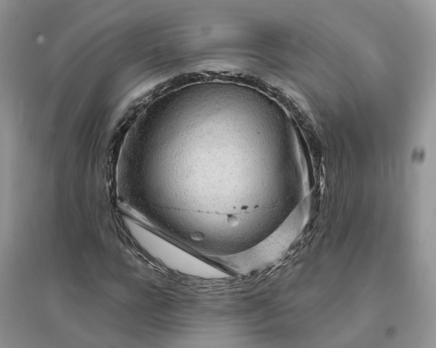 X0000096170920200802011315