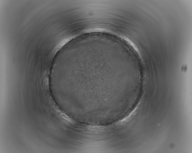 X0000096170921200802011315