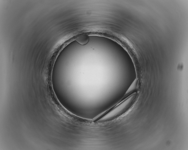 X0000096170922200802011315