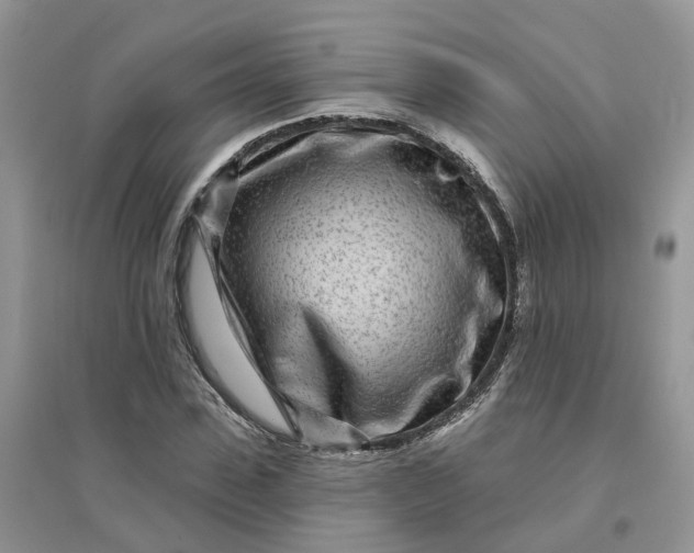 X0000096170923200802011315