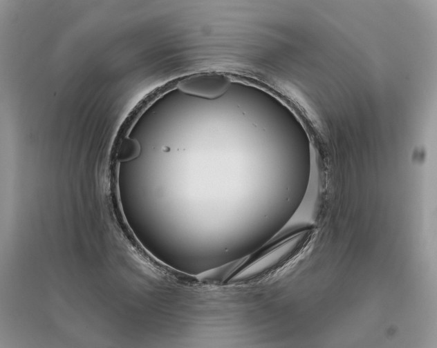 X0000096170924200802011315