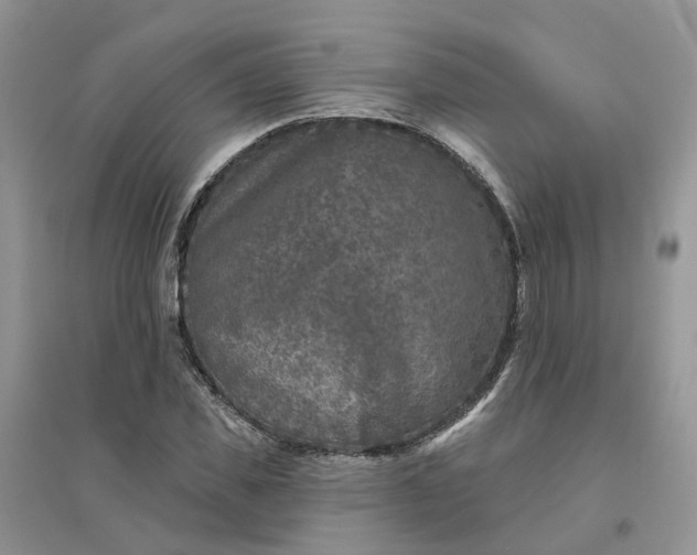 X0000096170925200802011315