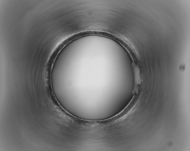 X0000096170926200802011315