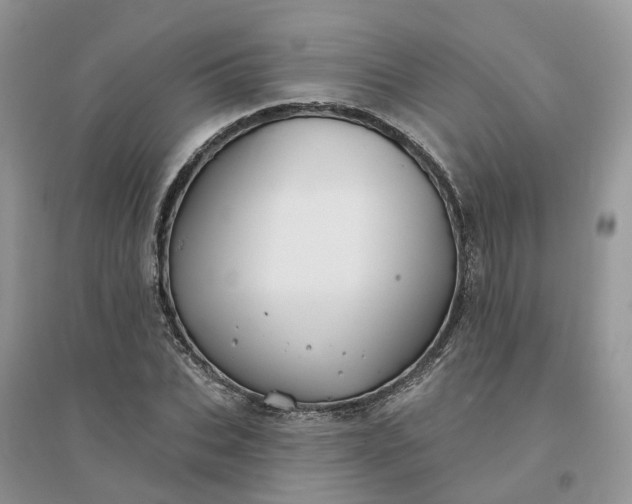 X0000096170927200802011315