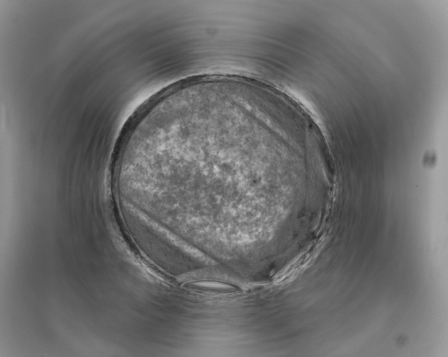 X0000096170928200802011315