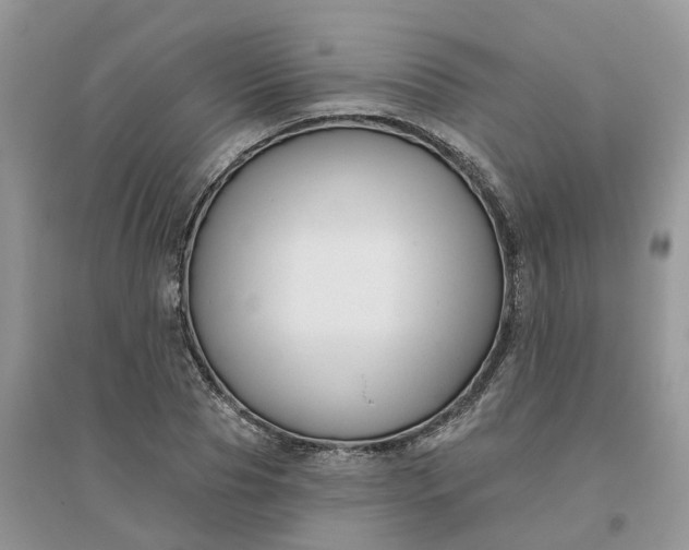 X0000096170929200802011315