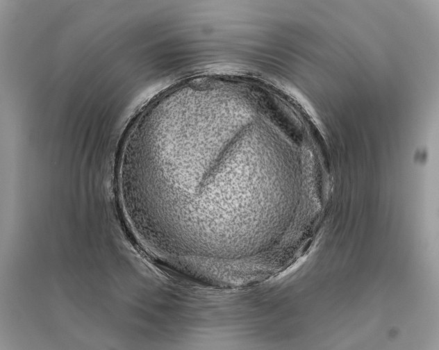 X0000096170930200802011315