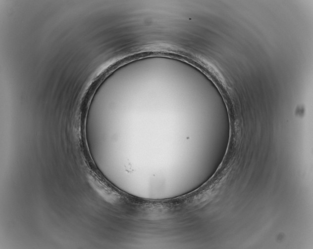 X0000096170931200802011315