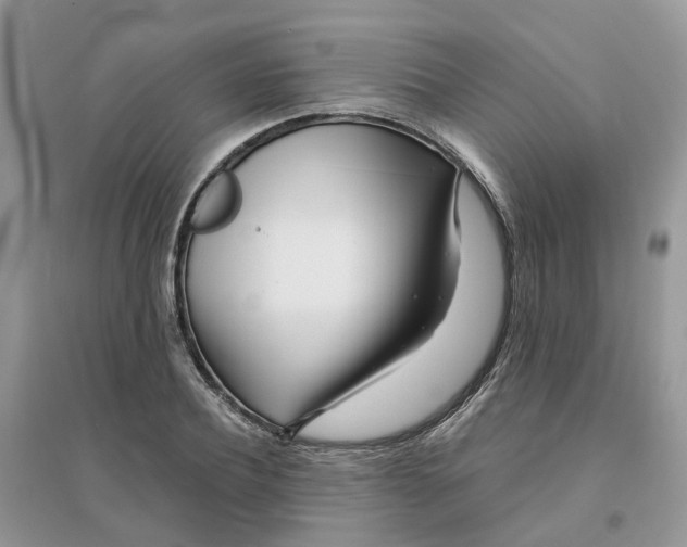 X0000096170932200802011315