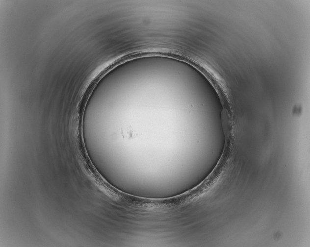 X0000096170933200802011315