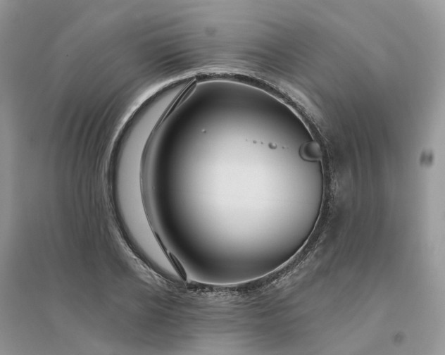 X0000096170934200802011315