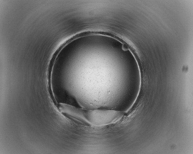 X0000096170935200802011315