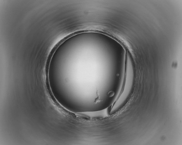 X0000096170936200802011315