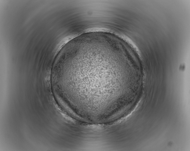 X0000096170937200802011315