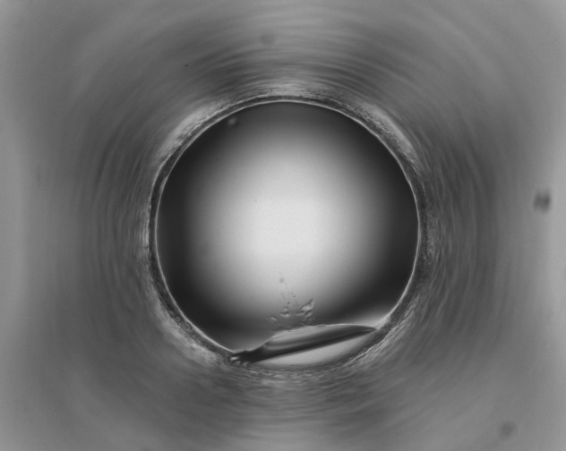 X0000096170938200802011315