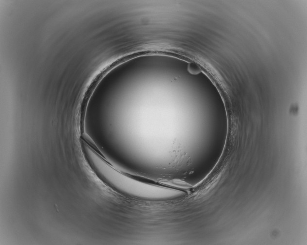 X0000096170939200802011315