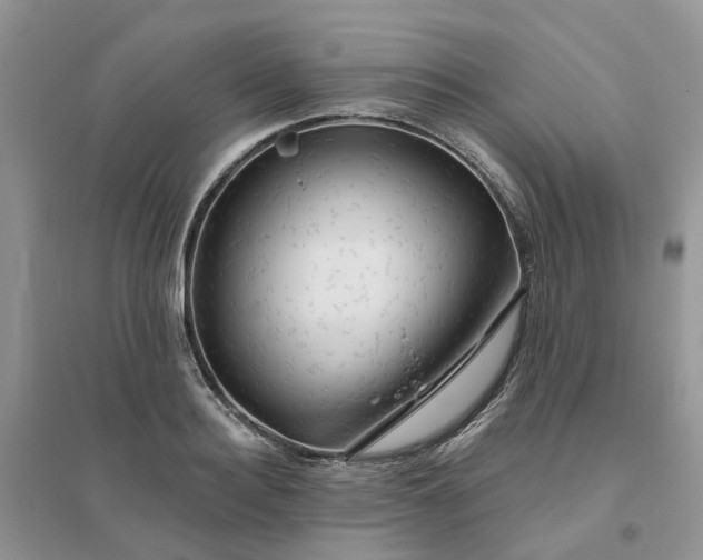 X0000096170940200802011315