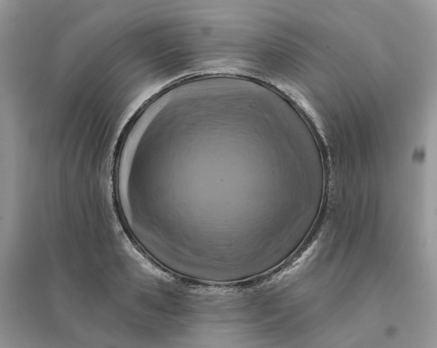 X0000096170941200802011315