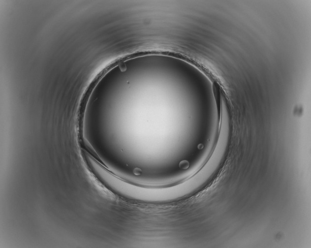 X0000096170942200802011315