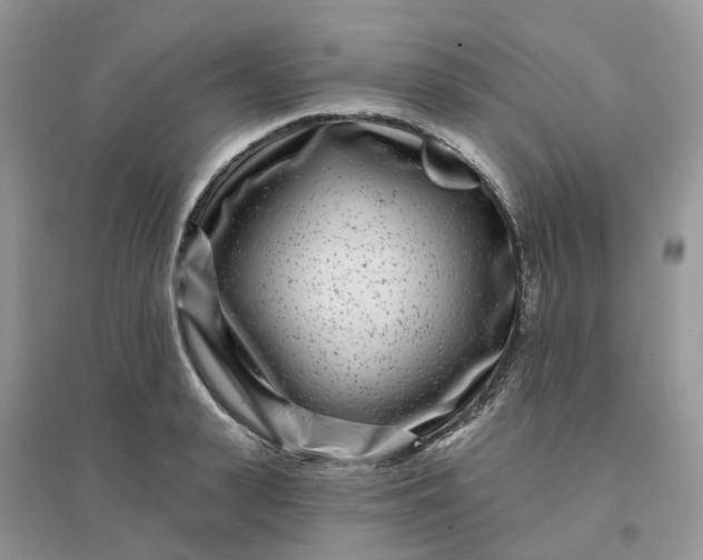 X0000096170943200802011315