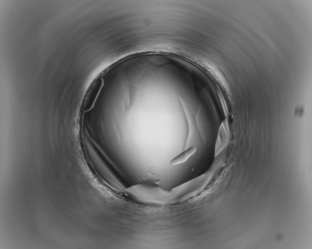 X0000096170944200802011315