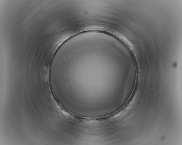 X0000096170945200802011315