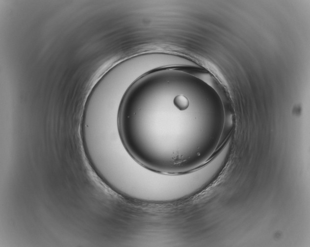 X0000096170946200802011315