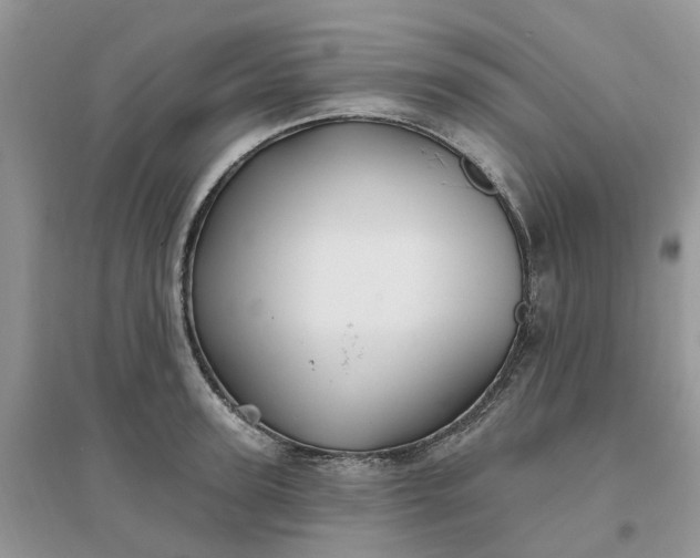 X0000096170947200802011315